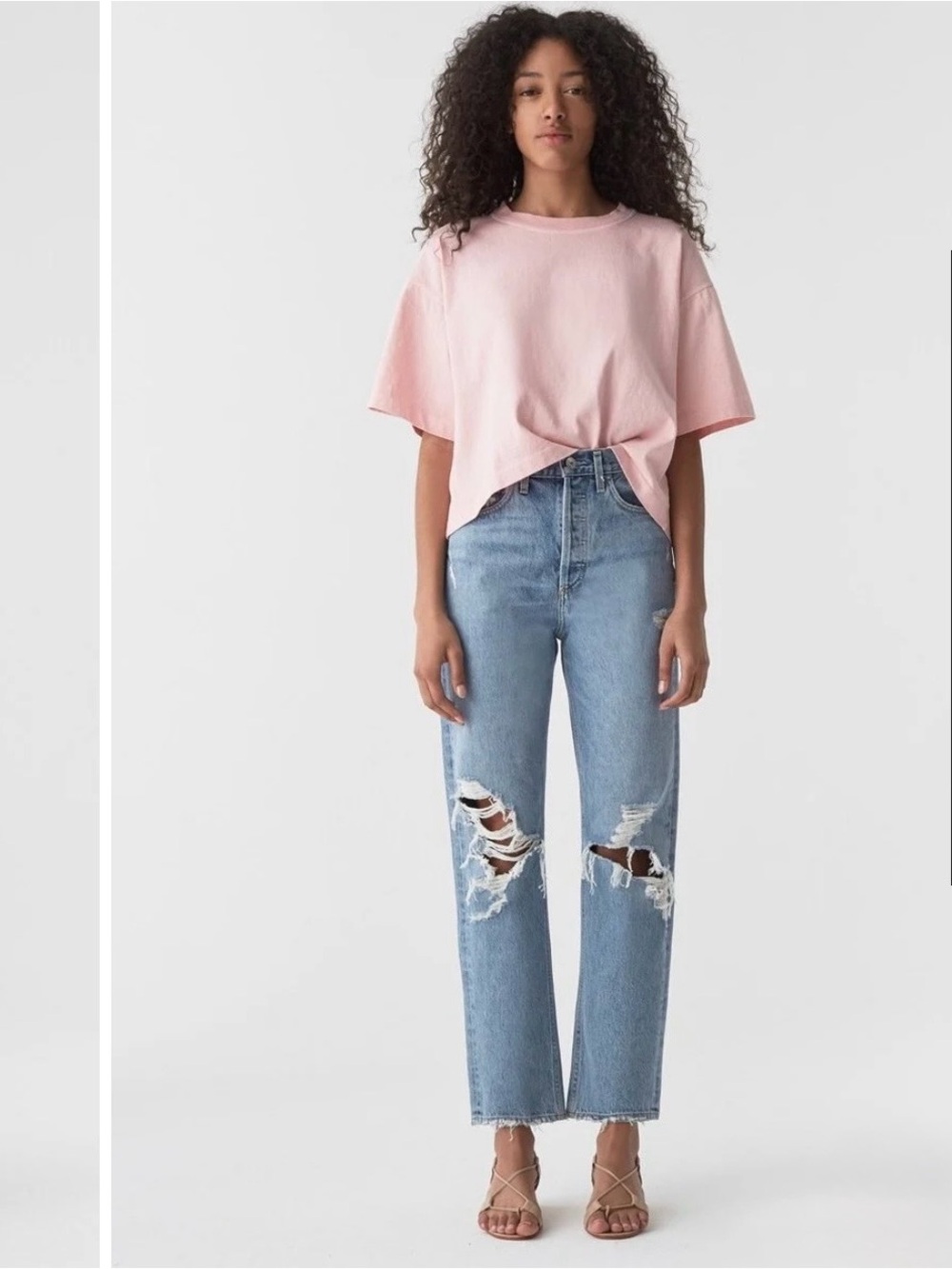 Agolde 90s Mid Rise Loose Fit Jeans in Fall Out Distressed Wash